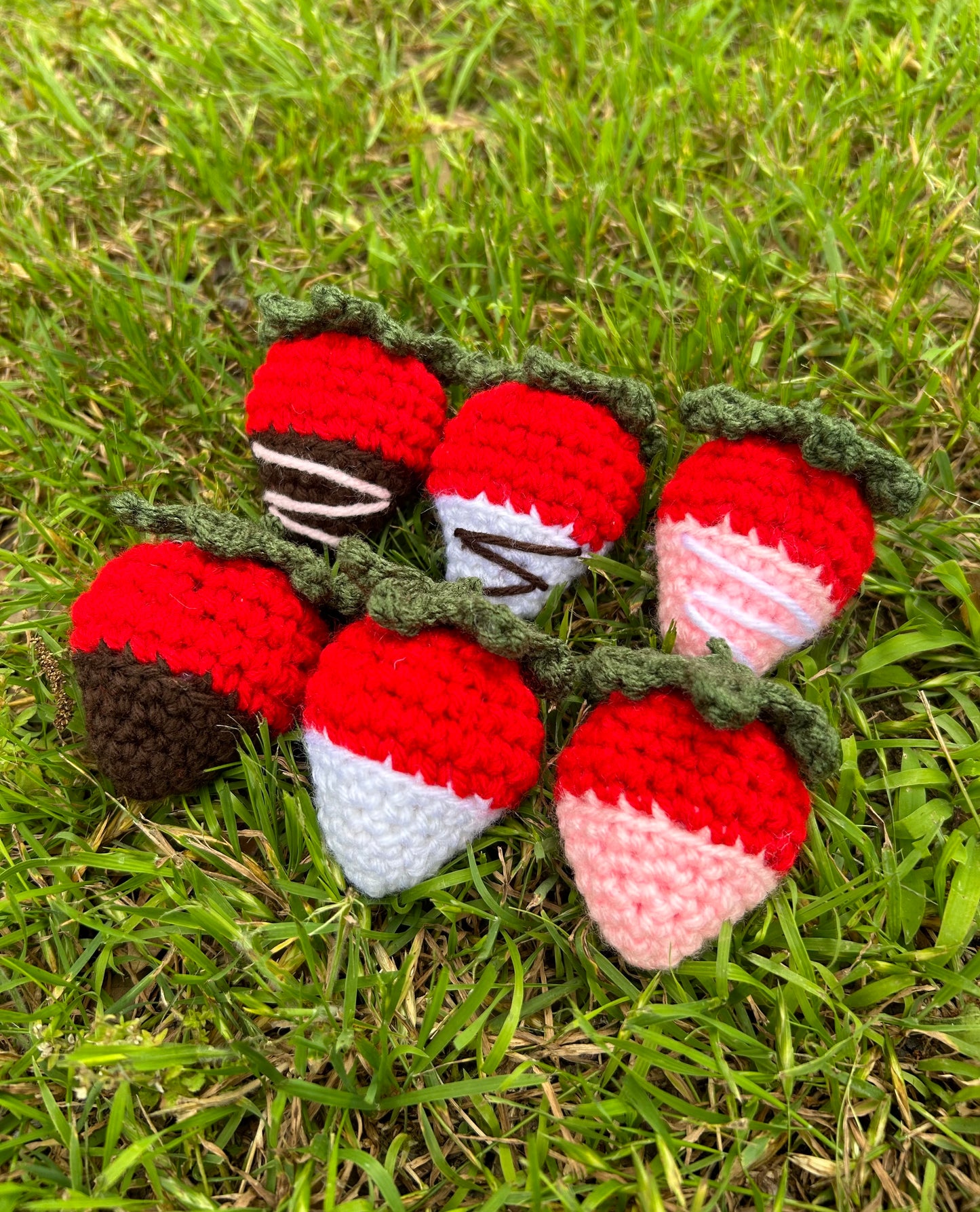 Chocolate Strawberries (6)