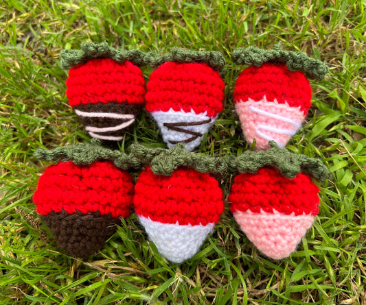 Chocolate Strawberries (6)